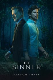 The Sinner: Sezona 3
