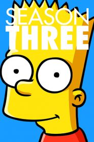 The Simpsons: Sezona 3