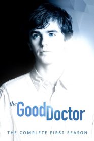 The Good Doctor: Season 1