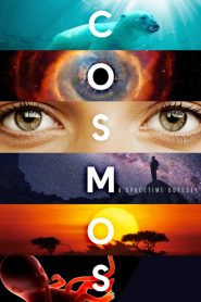 Cosmos: Season 1