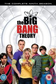 The Big Bang Theory: Season 9