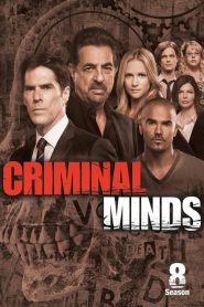 Criminal Minds: Sezona 8
