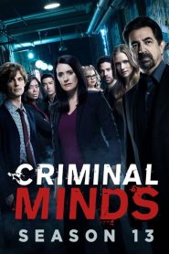 Criminal Minds: Sezona 13