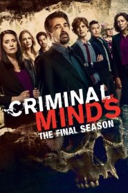Criminal Minds: Sezona 15