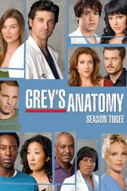 Grey’s Anatomy: Sezona 3