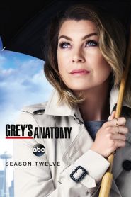 Grey’s Anatomy: Sezona 12