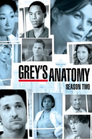 Grey’s Anatomy: Sezona 2