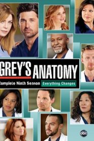 Grey’s Anatomy: Sezona 9