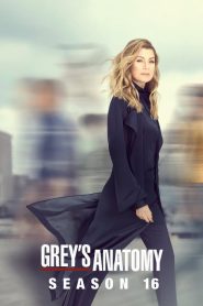Grey’s Anatomy: Sezona 16