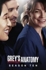 Grey’s Anatomy: Sezona 10