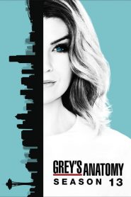 Grey’s Anatomy: Sezona 13
