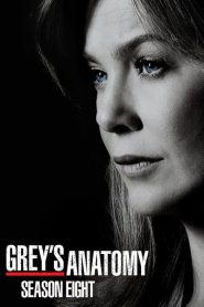 Grey’s Anatomy: Sezona 8