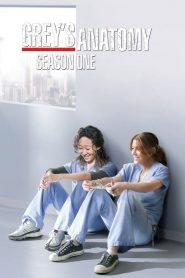 Grey’s Anatomy: Sezona 1