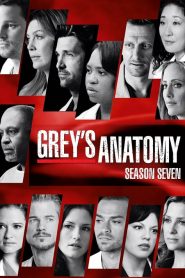 Grey’s Anatomy: Sezona 7