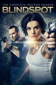 Blindspot: Sezona 2