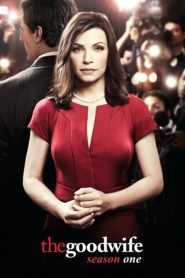 The Good Wife: Sezona 1