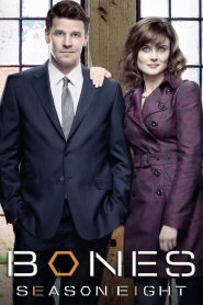 Bones: Sezona 8