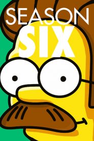 The Simpsons: Sezona 6