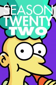 The Simpsons: Sezona 22