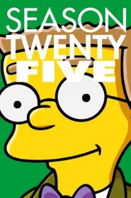The Simpsons: Sezona 25