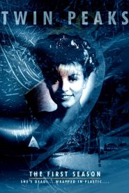 Twin Peaks: Sezona 1