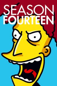 The Simpsons: Sezona 14