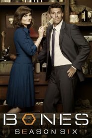 Bones: Sezona 6