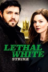 Strike: Sezona 4