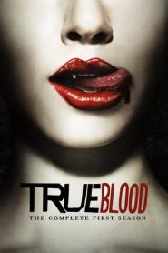 True Blood: Sezona 1