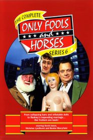 Only Fools and Horses: Sezona 6