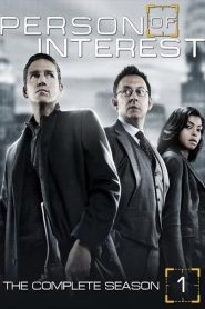 Person of Interest: Sezona 1