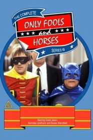 Only Fools and Horses: Sezona 8