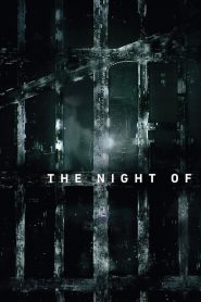 The Night Of: Sezona 1