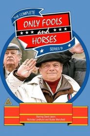 Only Fools and Horses: Sezona 9