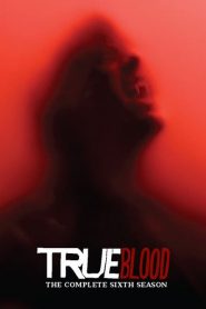 True Blood: Sezona 6