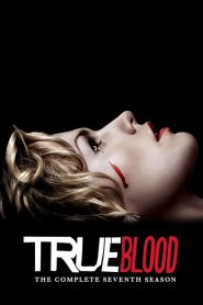 True Blood: Sezona 7