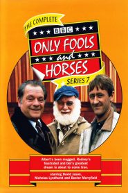 Only Fools and Horses: Sezona 7