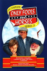 Only Fools and Horses: Sezona 5