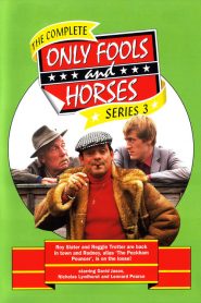 Only Fools and Horses: Sezona 3
