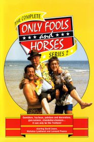 Only Fools and Horses: Sezona 2