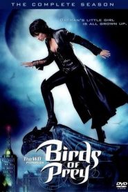 Birds of Prey: Sezona 1