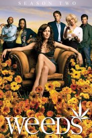 Weeds: Sezona 2