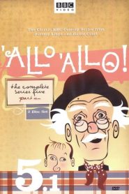 ‘Allo ‘Allo!: Sezona 5