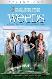 Weeds: Sezona 1