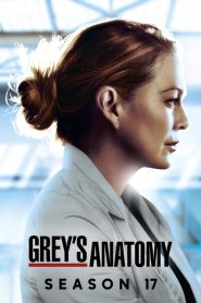 Grey’s Anatomy: Sezona 17