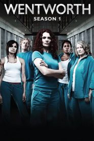 Wentworth: Sezona 1
