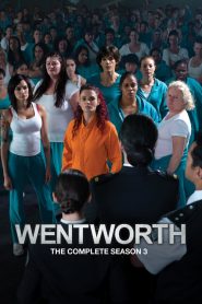 Wentworth: Sezona 3