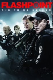 Flashpoint: Sezona 3