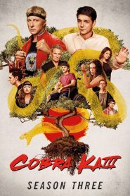 Cobra Kai: Sezona 3