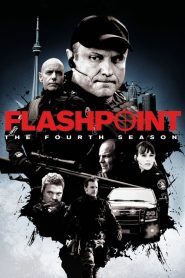 Flashpoint: Sezona 4